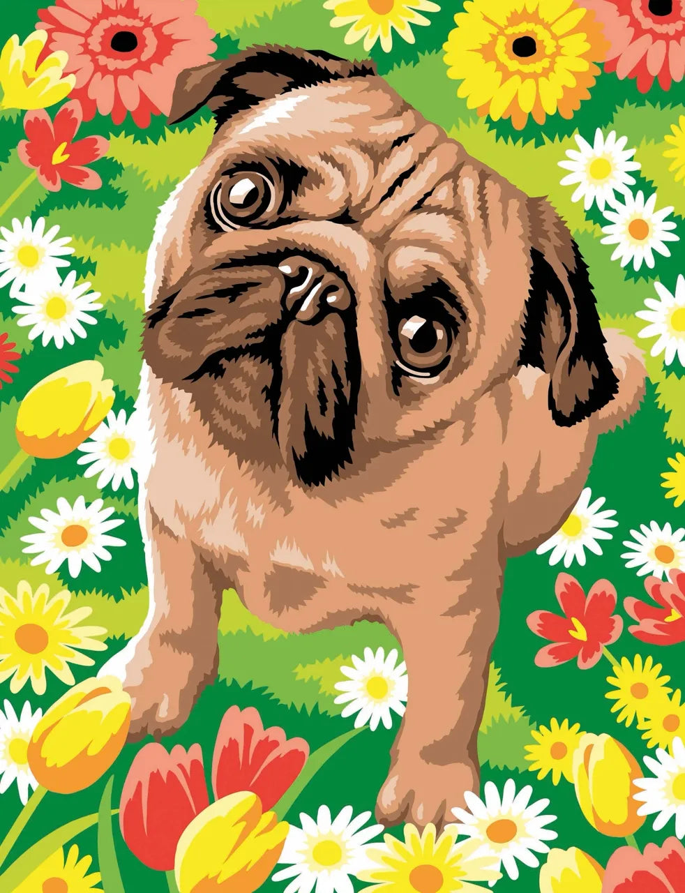 Junior Painting By Numbers Pug