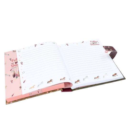 Miss Melody Diary With Code and Sound