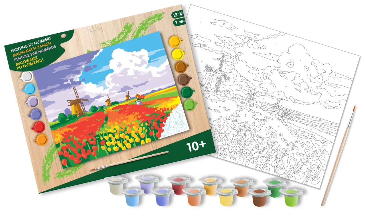Senior Painting By Numbers Tulips from Amsterdam