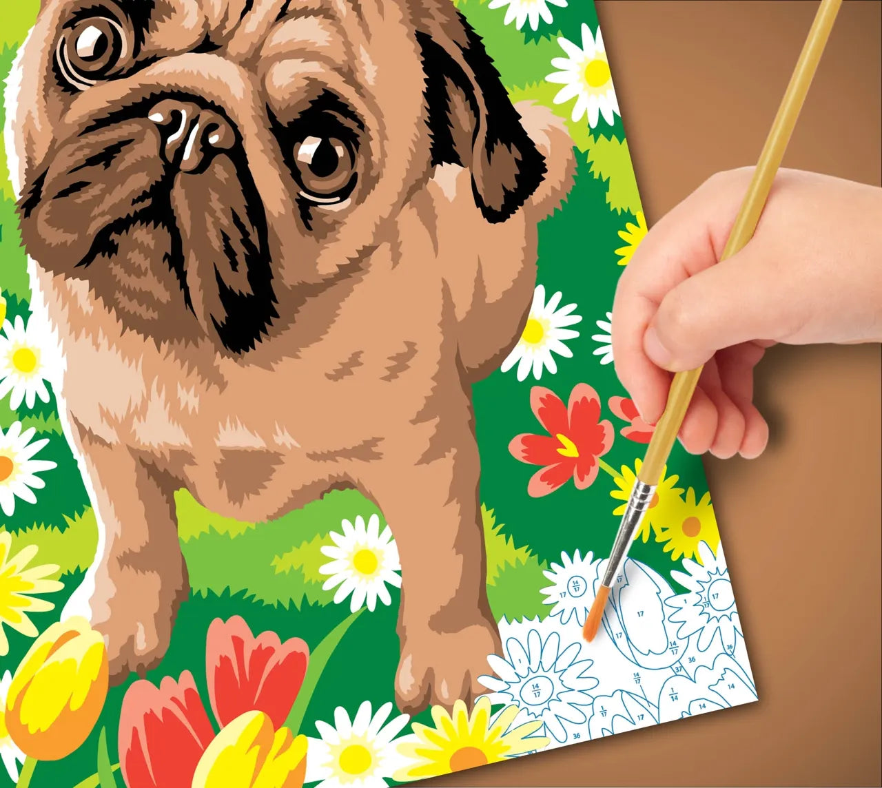 Junior Painting By Numbers Pug