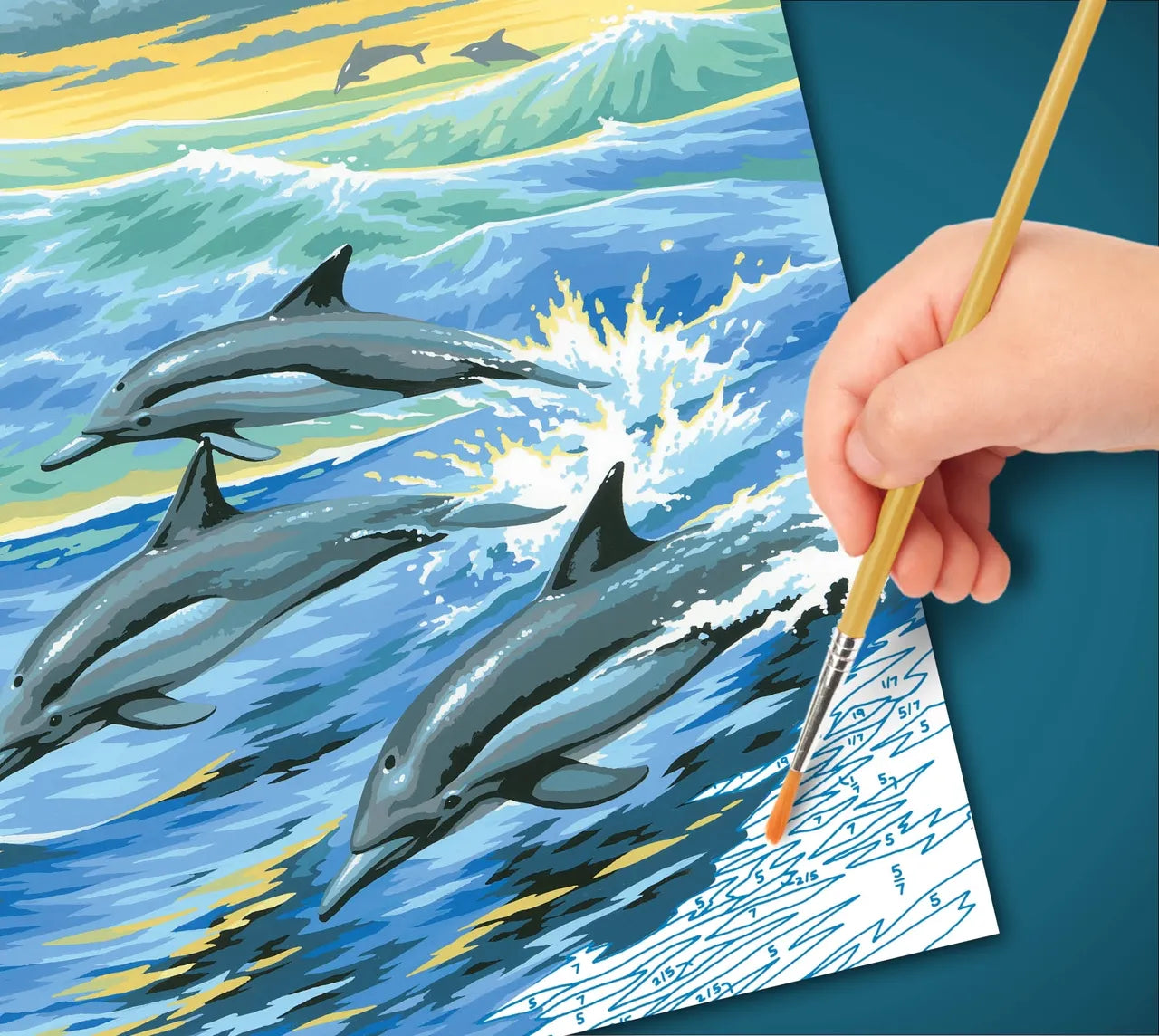 Junior Painting By Numbers Dolphins