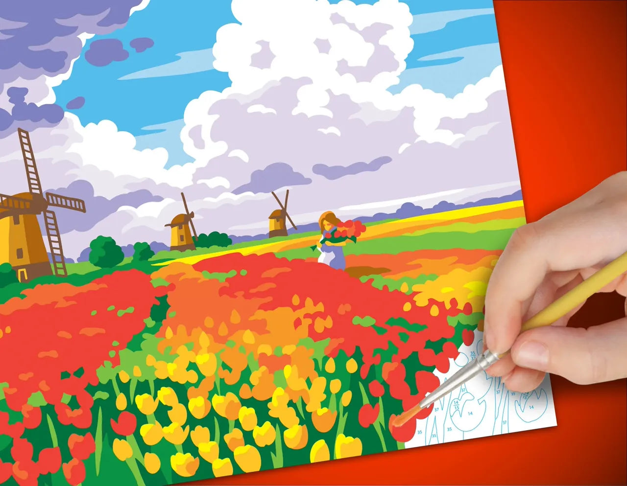 Senior Painting By Numbers Tulips from Amsterdam