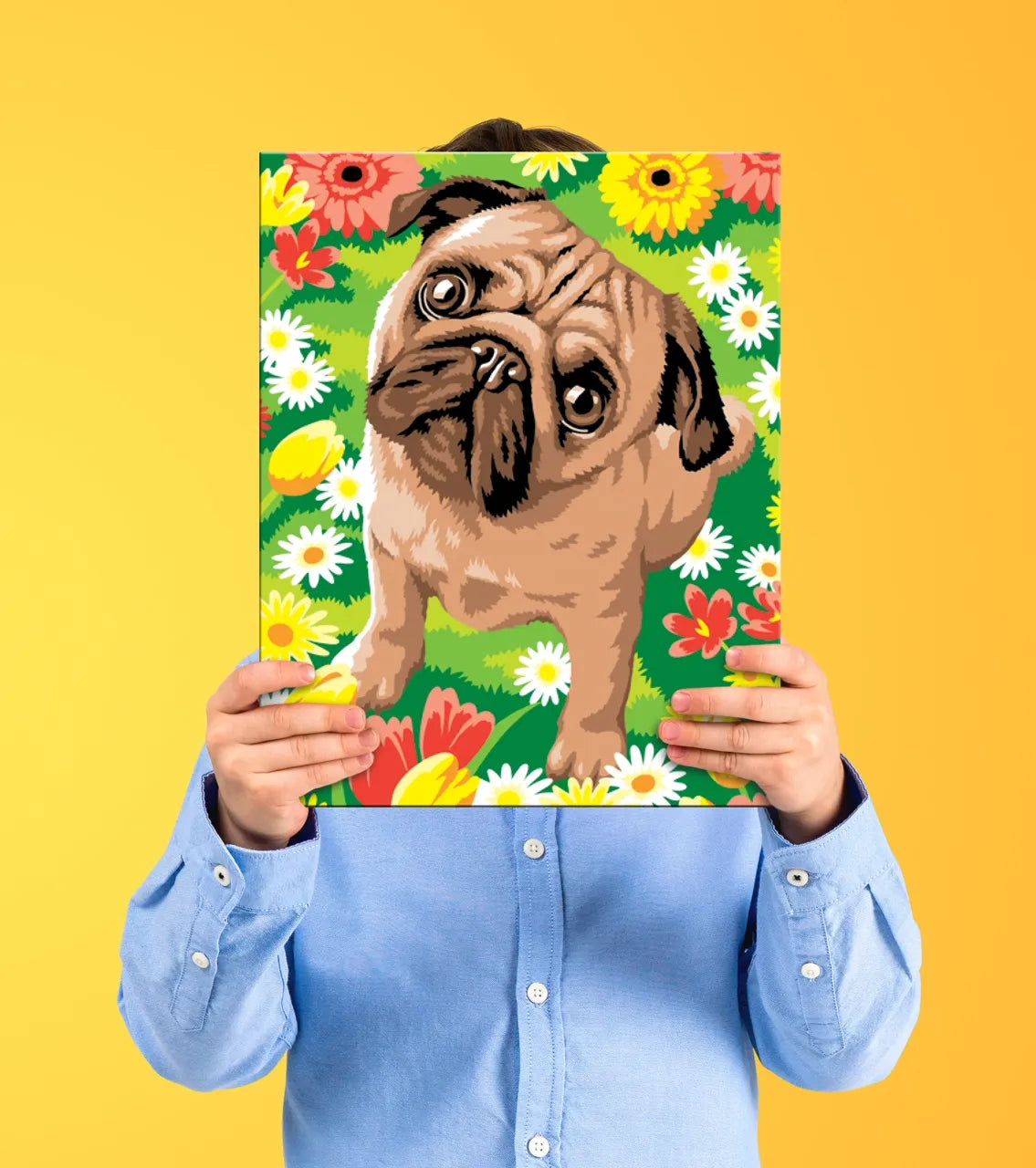 Junior Painting By Numbers Pug