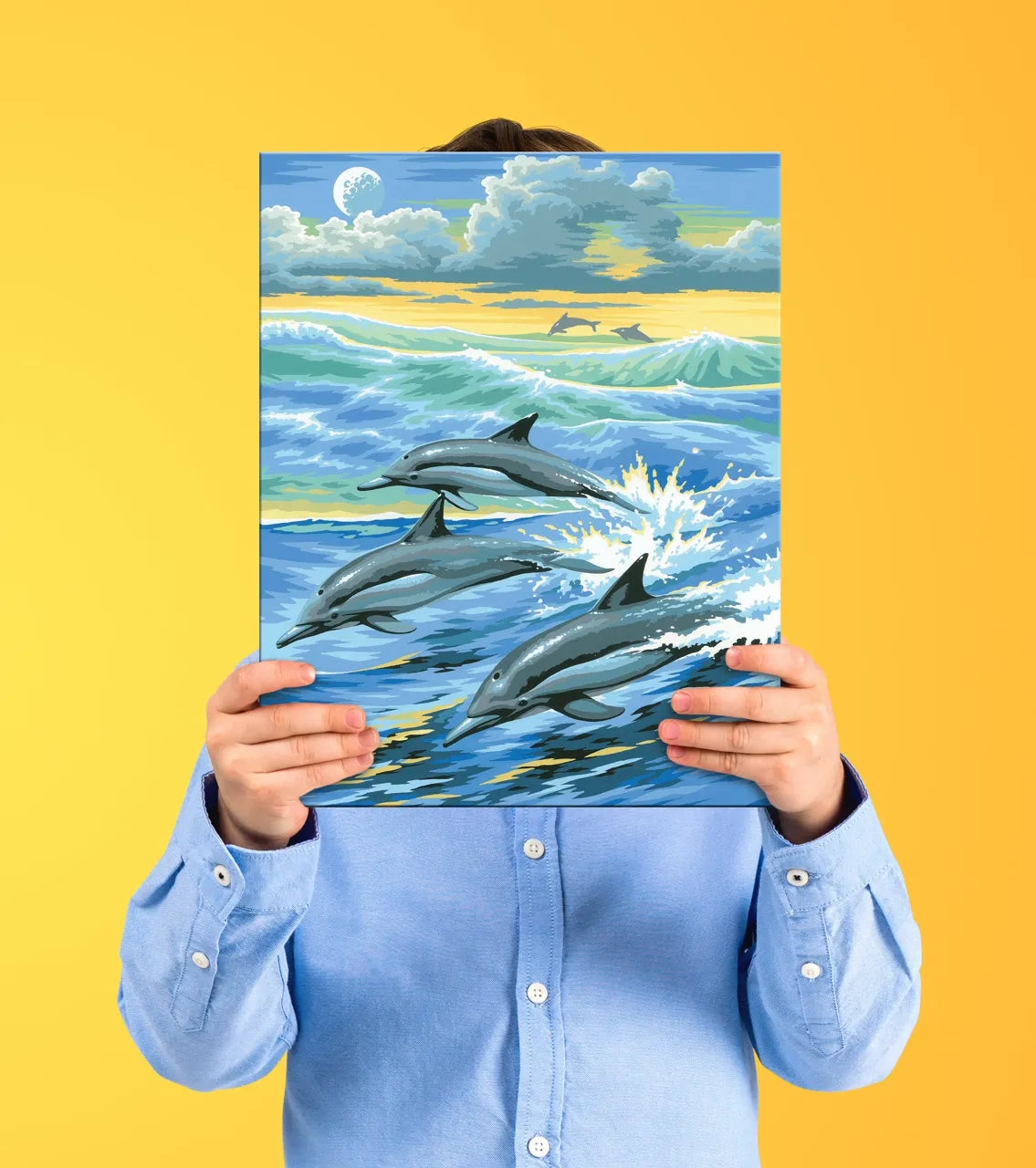 Junior Painting By Numbers Dolphins