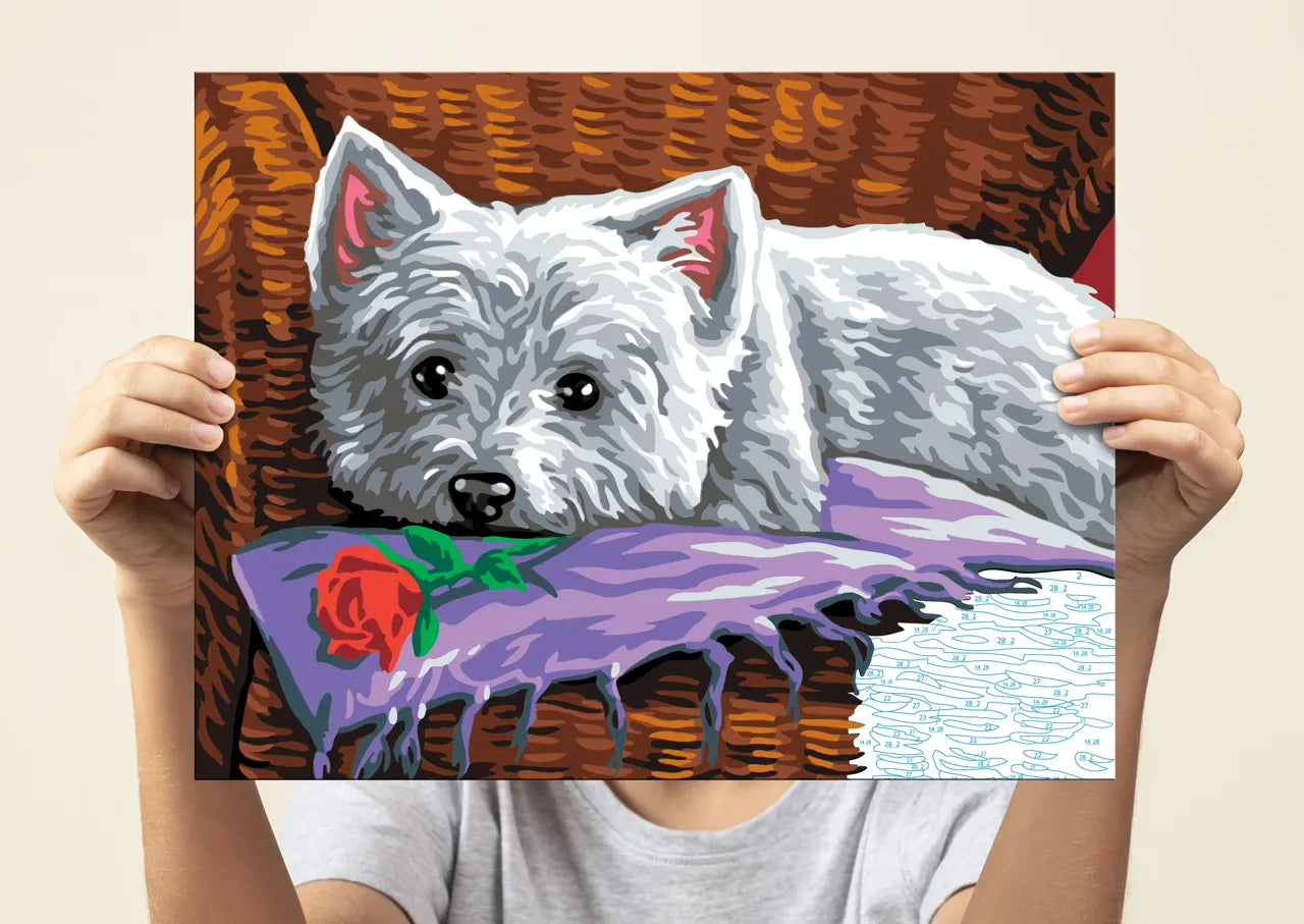 Senior Painting By Numbers Romeo