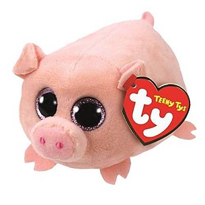 Curly Pig