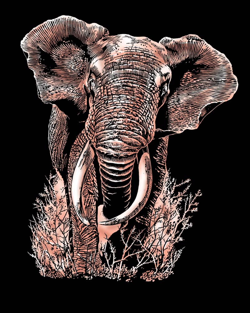 Artfoil Copper Elephant