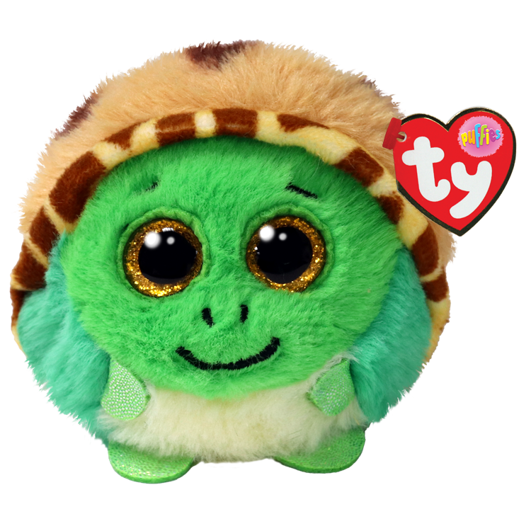 Cruiser Turtle