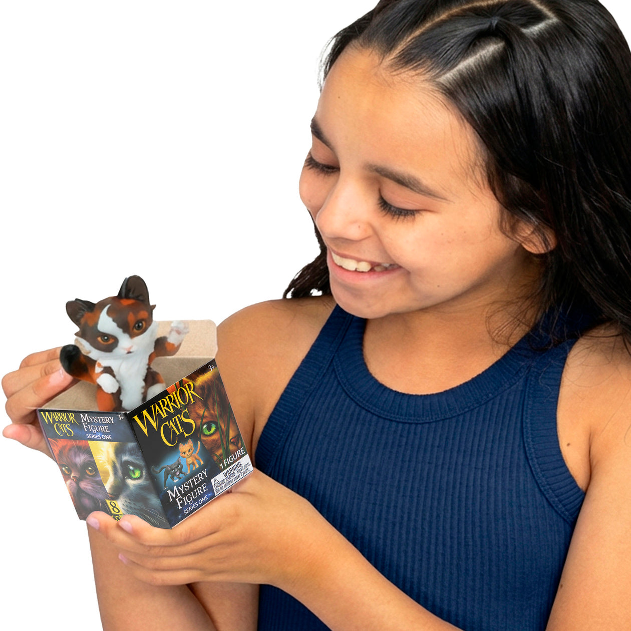 Warrior Cats Mystery Collectible Figure Blind Box