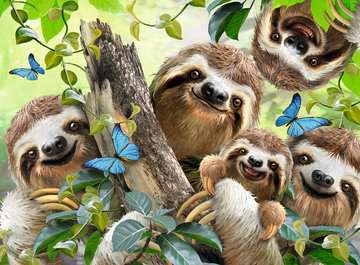 Ravensburger Sloth Selfie 500 Piece Jigsaw Puzzle