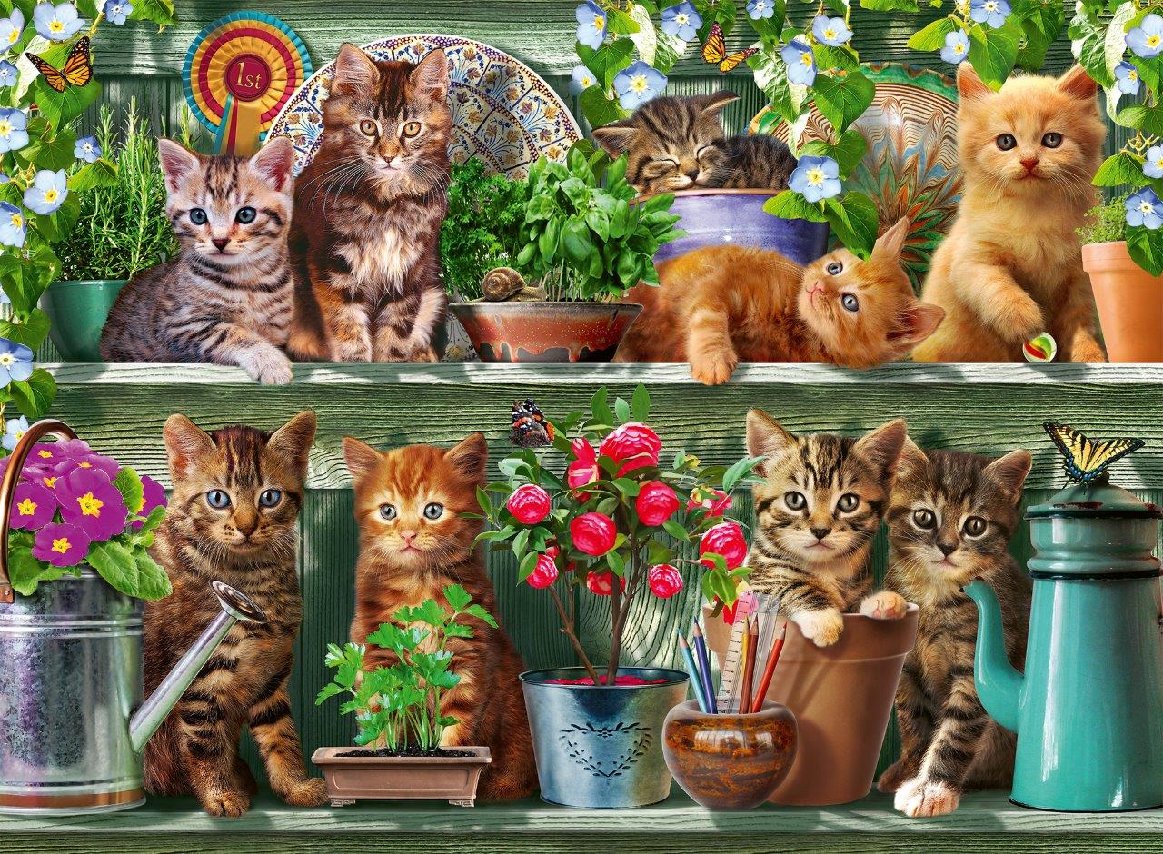 Ravensburger Cats on the Shelf 500 Piece Jigsaw Puzzle