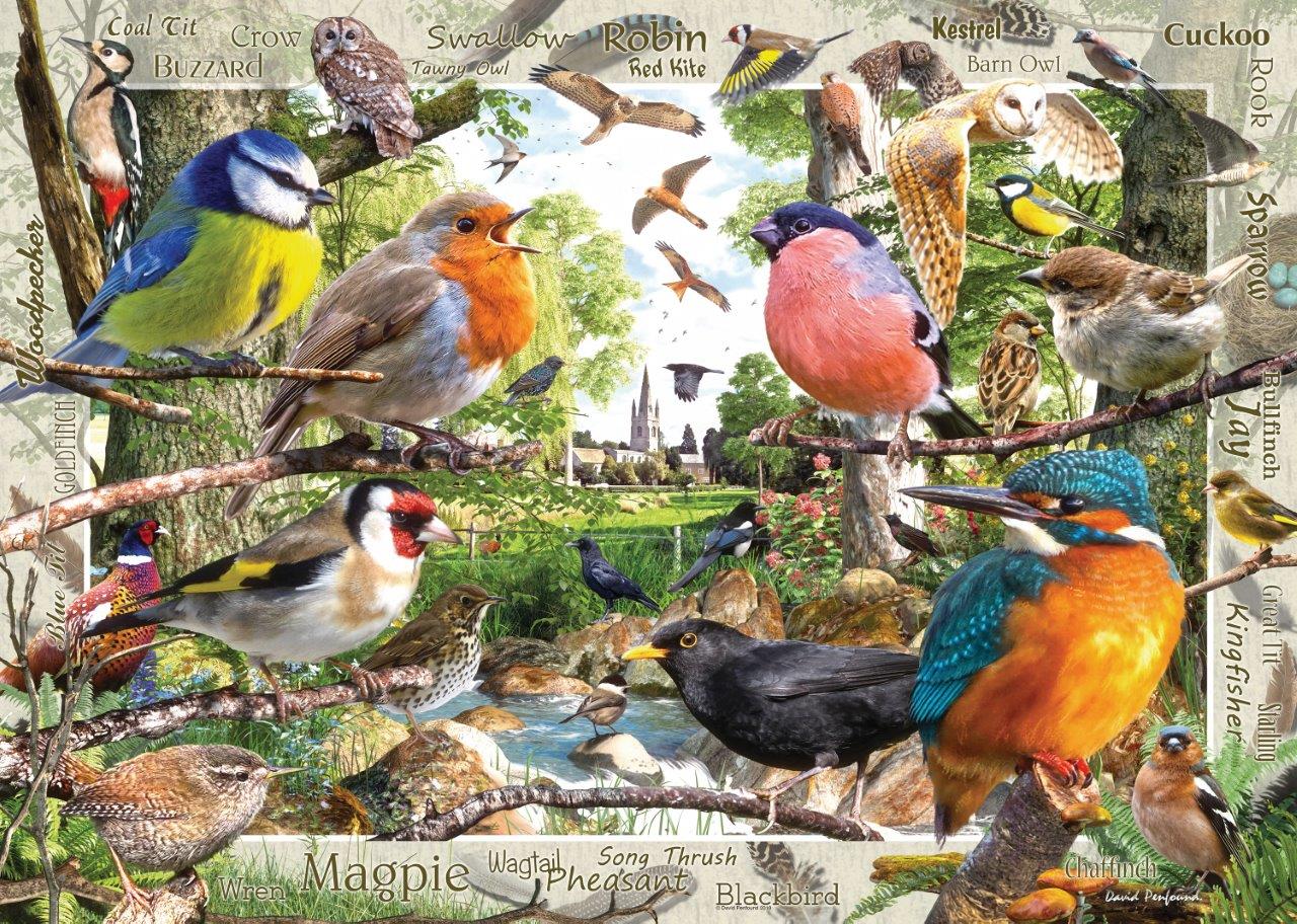 Our Feathered Friends 1000pc puzzle