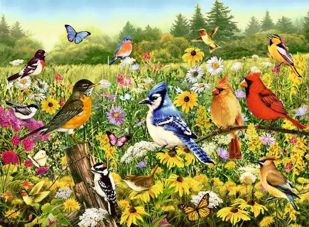 Ravensburger Birds in the Meadow 500 Piece Jigasw puzzle