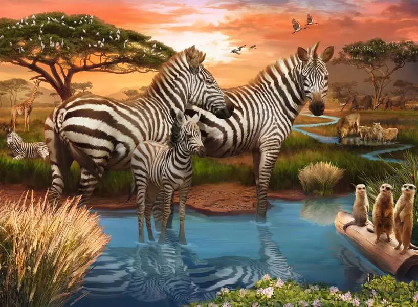 Ravensburger Zebras at the Waterhole 500 Piece Jigsaw Puzzle