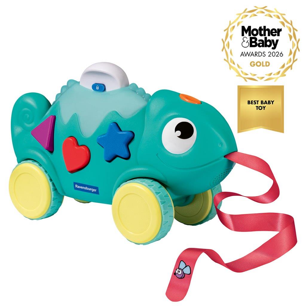 Colour and Shape Sorter Chameleon