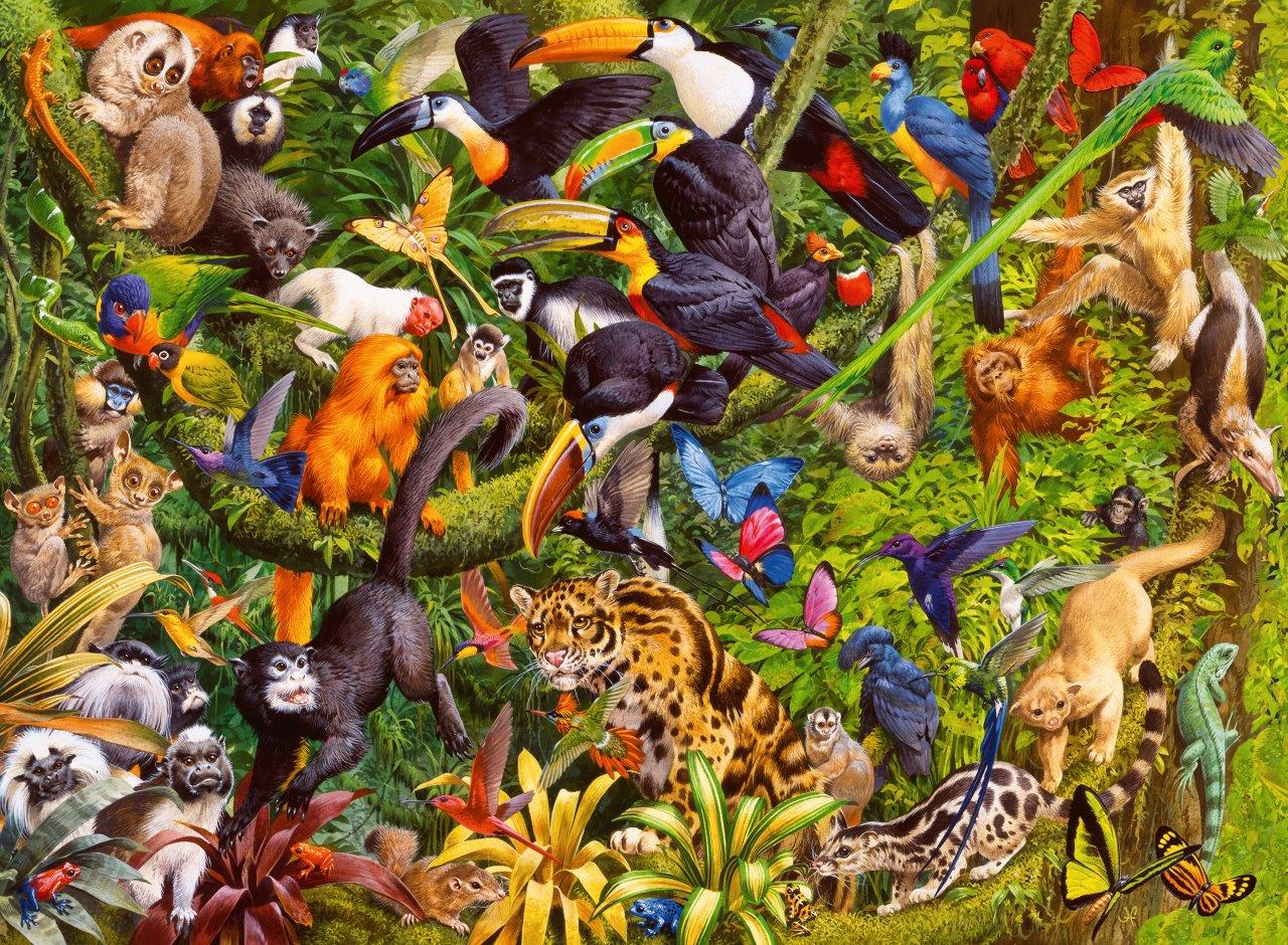 Ravenburger Tropical Rainforest XXL 200 Piece Jigsaw Puzzle