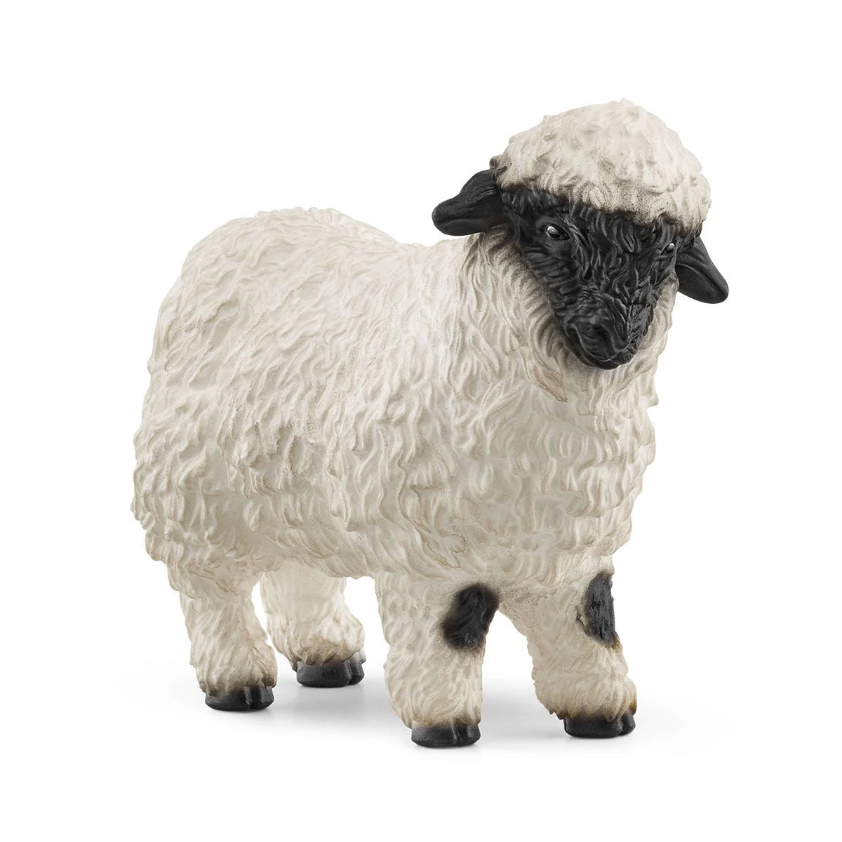 Valais Black nosed Sheep