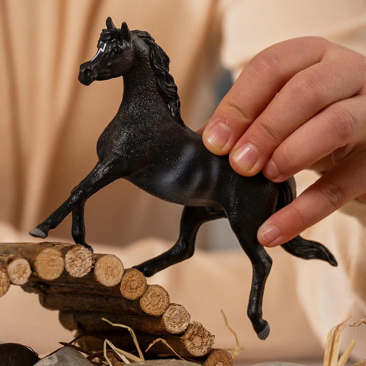 Arab Stallion