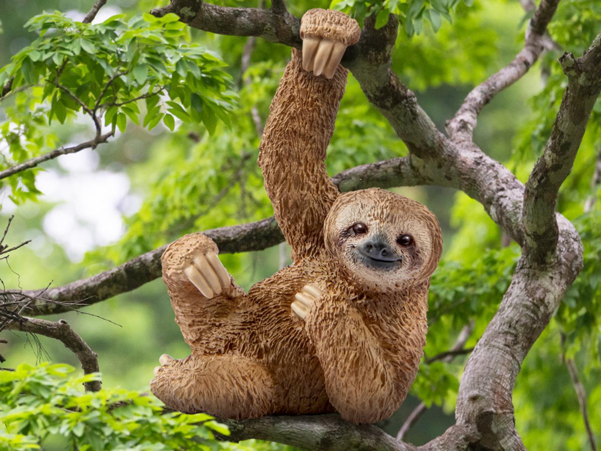 Schleich Wild Life Sloth Toy Figure