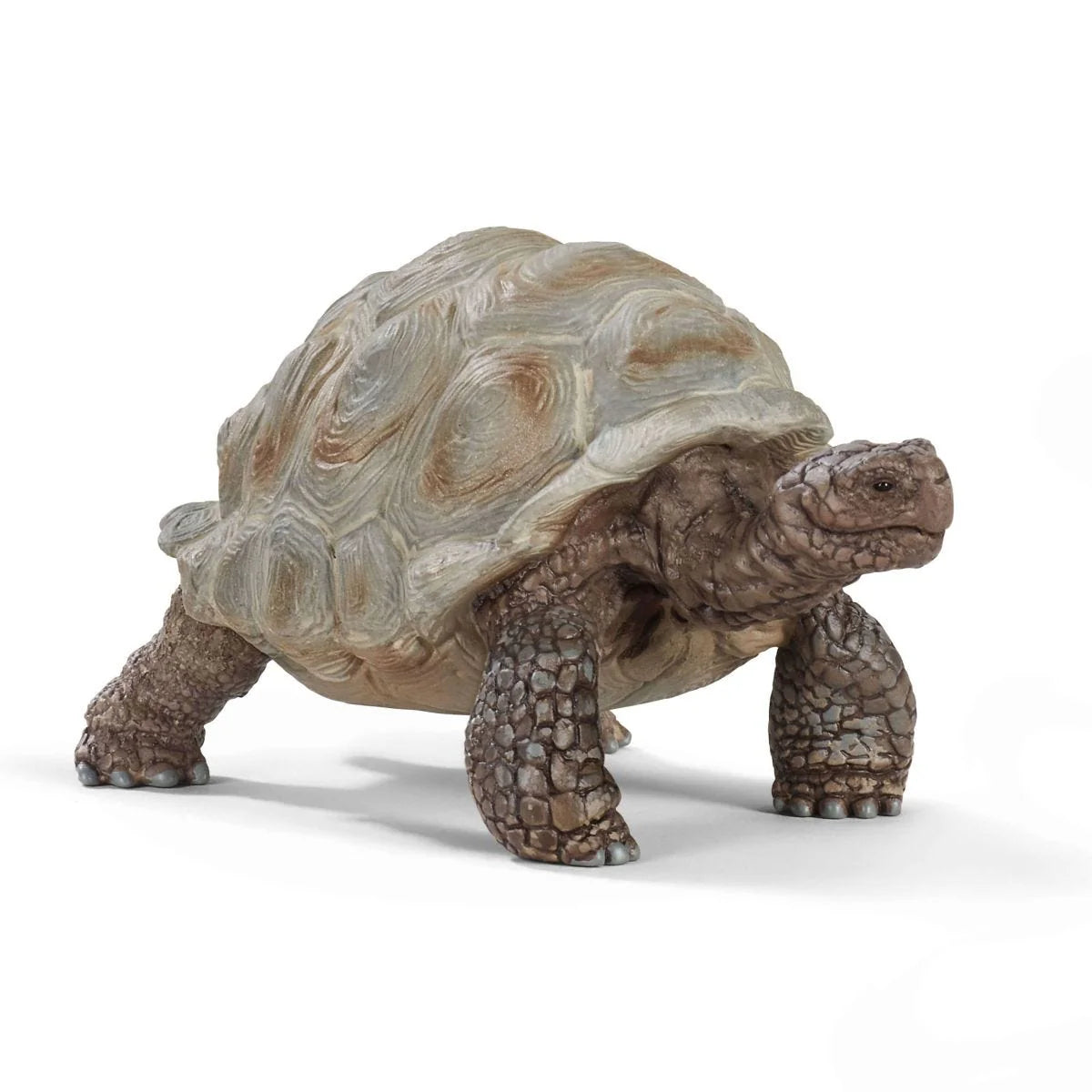 Schleich Wild Life Giant Tortoise Toy Figure