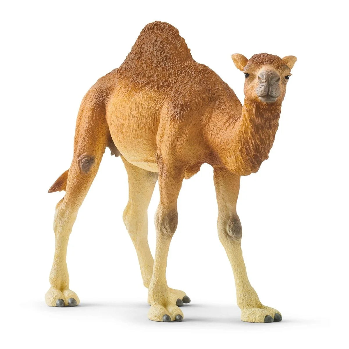Schleich Wild Life Dromedary Toy Figure