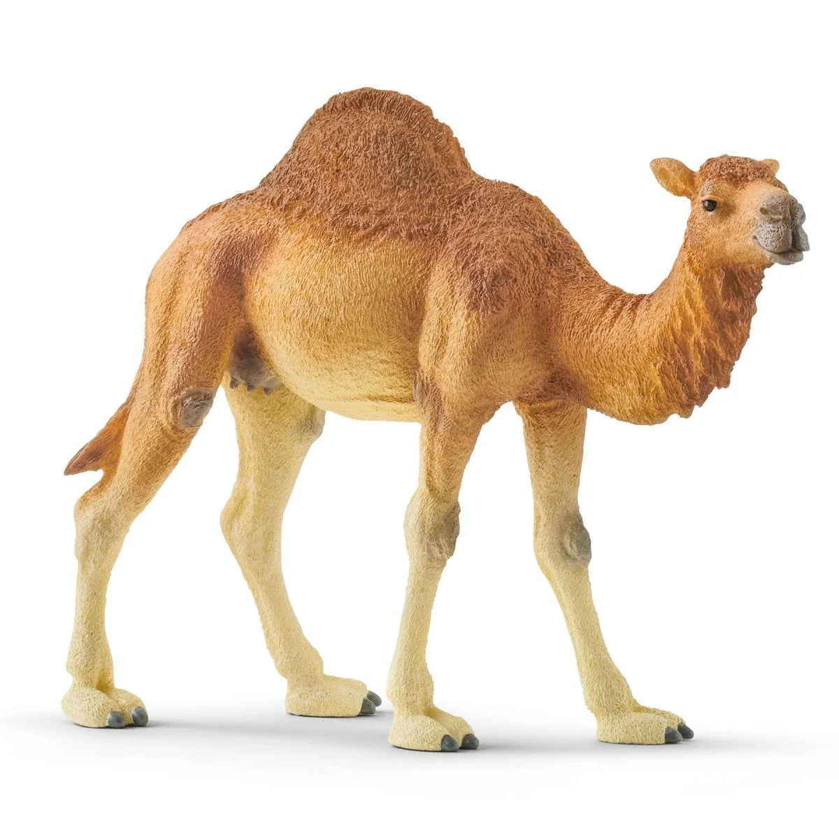 Schleich Wild Life Dromedary Toy Figure