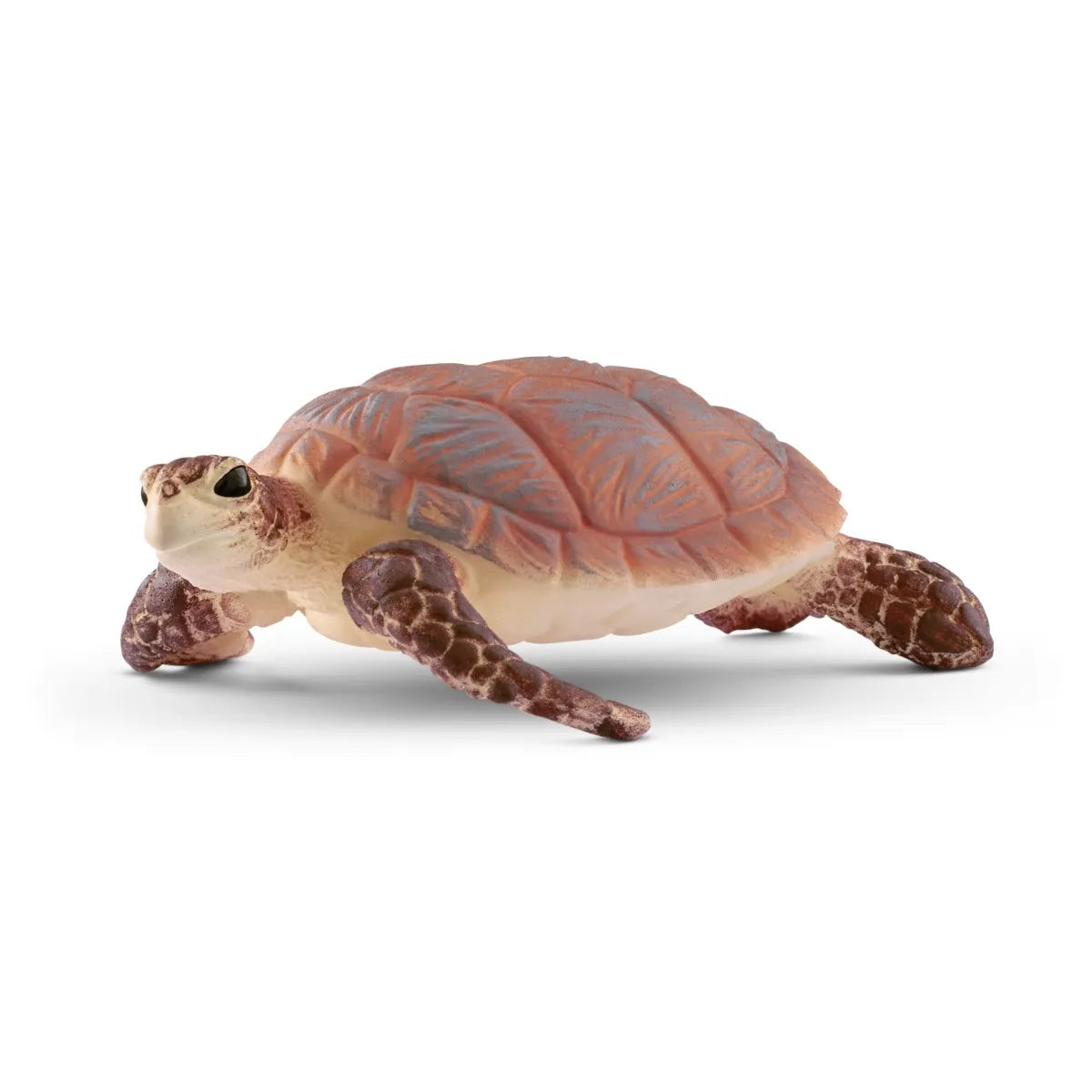 Hawskbill sea turtle
