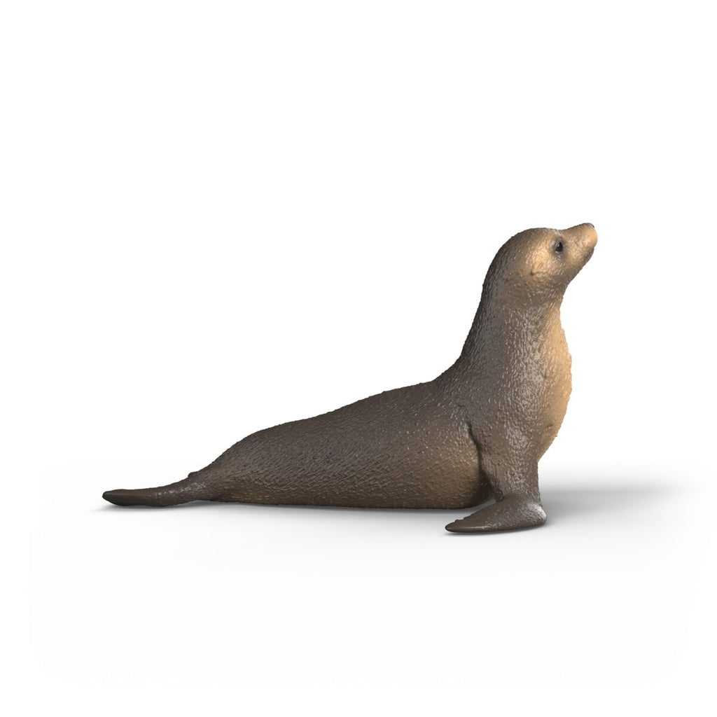 Schleich Sea Lion Toy Figure