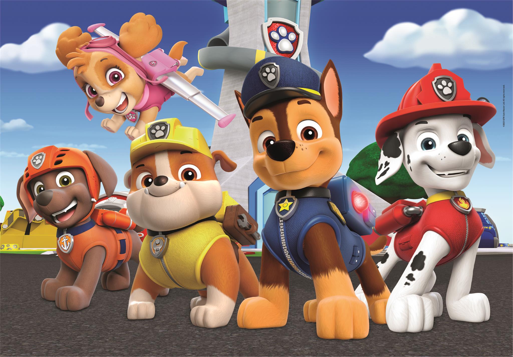 2X60Pc Paw Patrol