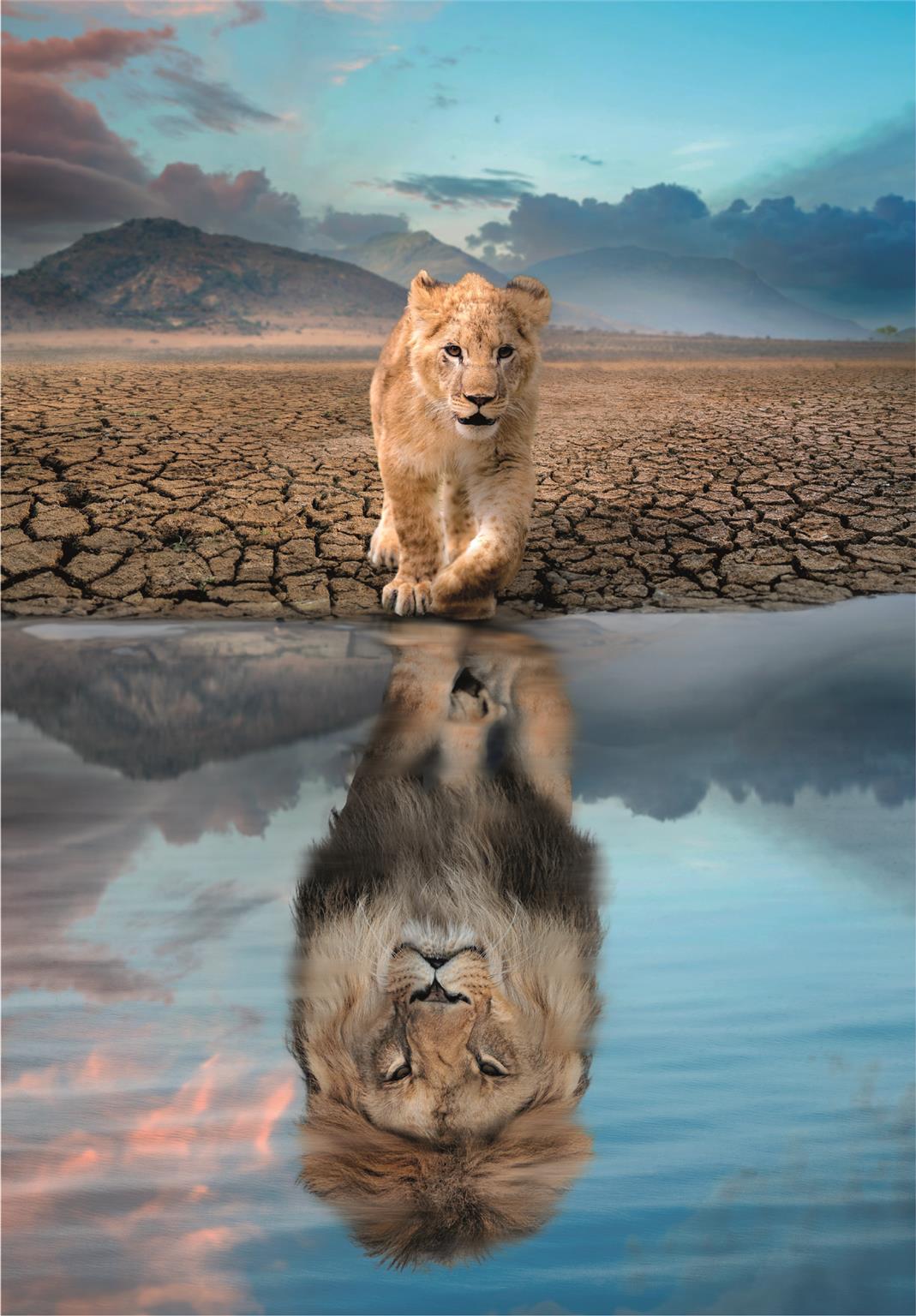 300 Pc Noli Reflection