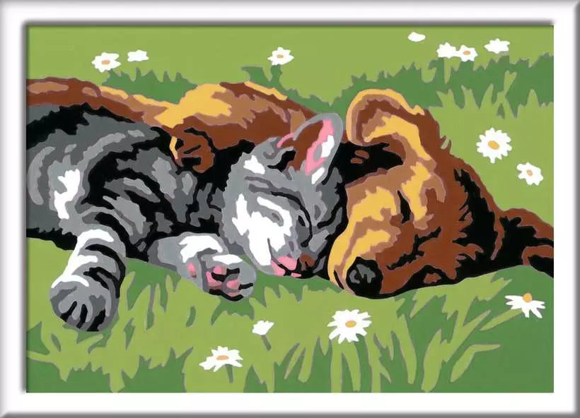 Ravensburger CreArt Sleeping Cat and Dog Paint by Numbers Set