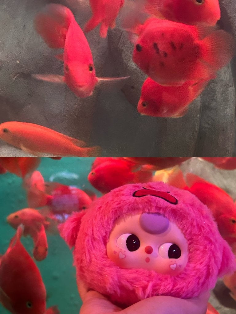 Baby Three - Romantic Ocean