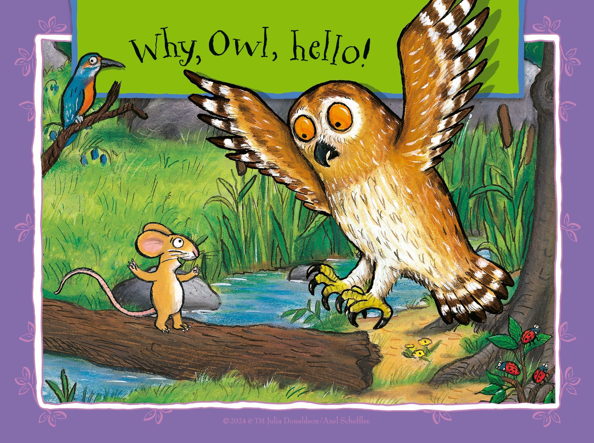 The Gruffalo, 4 in a Box