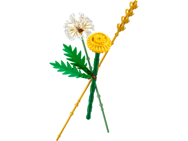 LEGO Botanicals Fied Flowers 30701