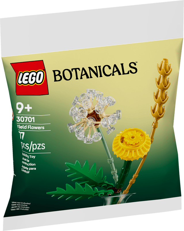 LEGO Botanicals Fied Flowers 30701