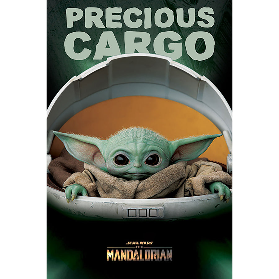 Star Wars The Mandalorian (Precious Cargo) Maxi Poster