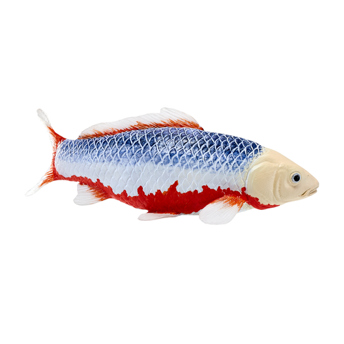Mojo Asagi Koi Carp