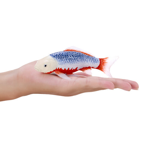 Mojo Asagi Koi Carp