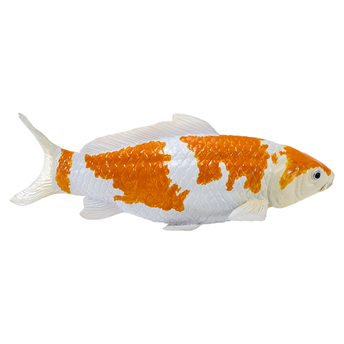 Mojo Ochiba Shigure Koi Carp