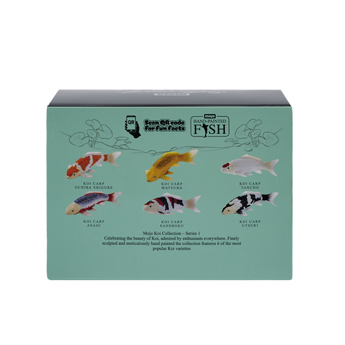 Mojo Asagi Koi Carp