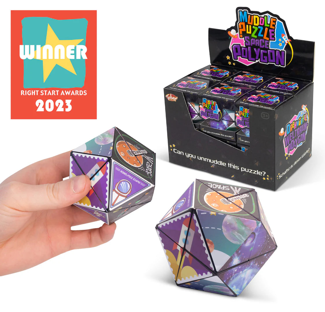 Space Polygon Muddle Puzzle
