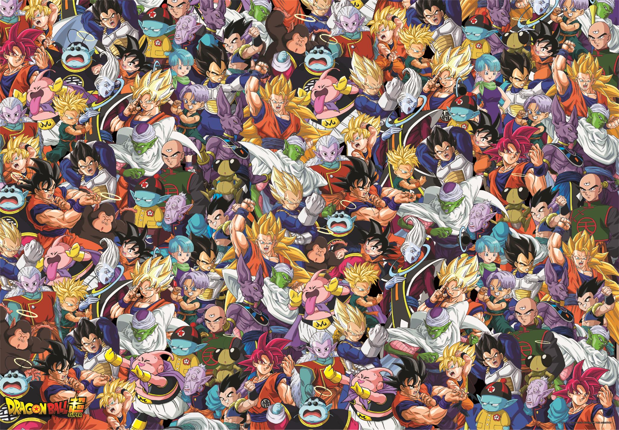 Dragonball 1000 Pc  Impossible