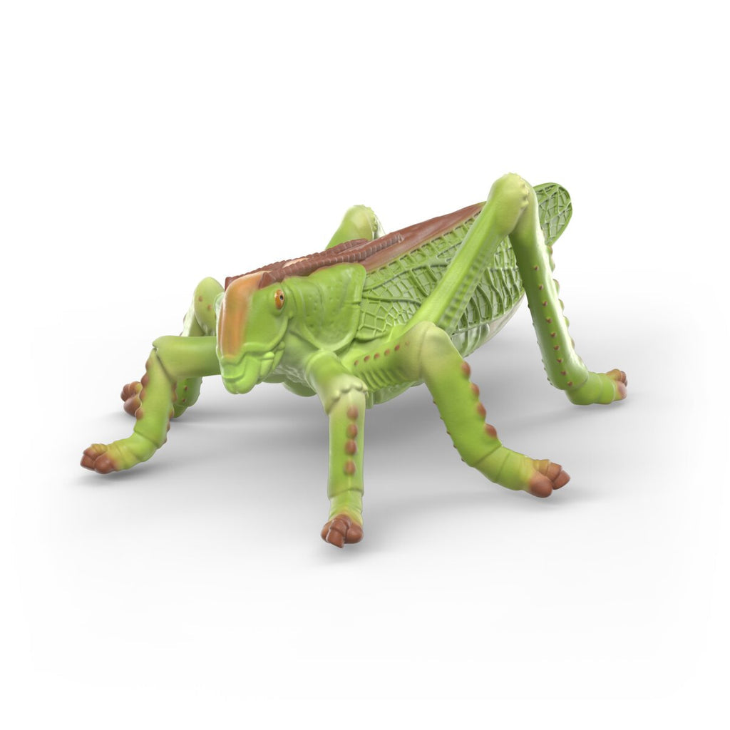 Schleich Insects Discovery Set Figure Set