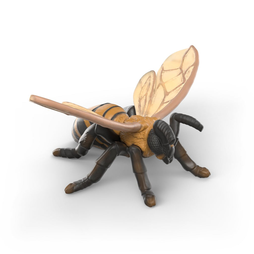 Schleich Insects Discovery Set Figure Set