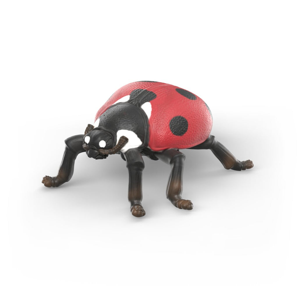 Schleich Insects Discovery Set Figure Set