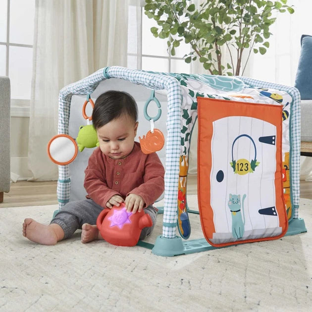 Fisher Price Cozy Cottage Gym