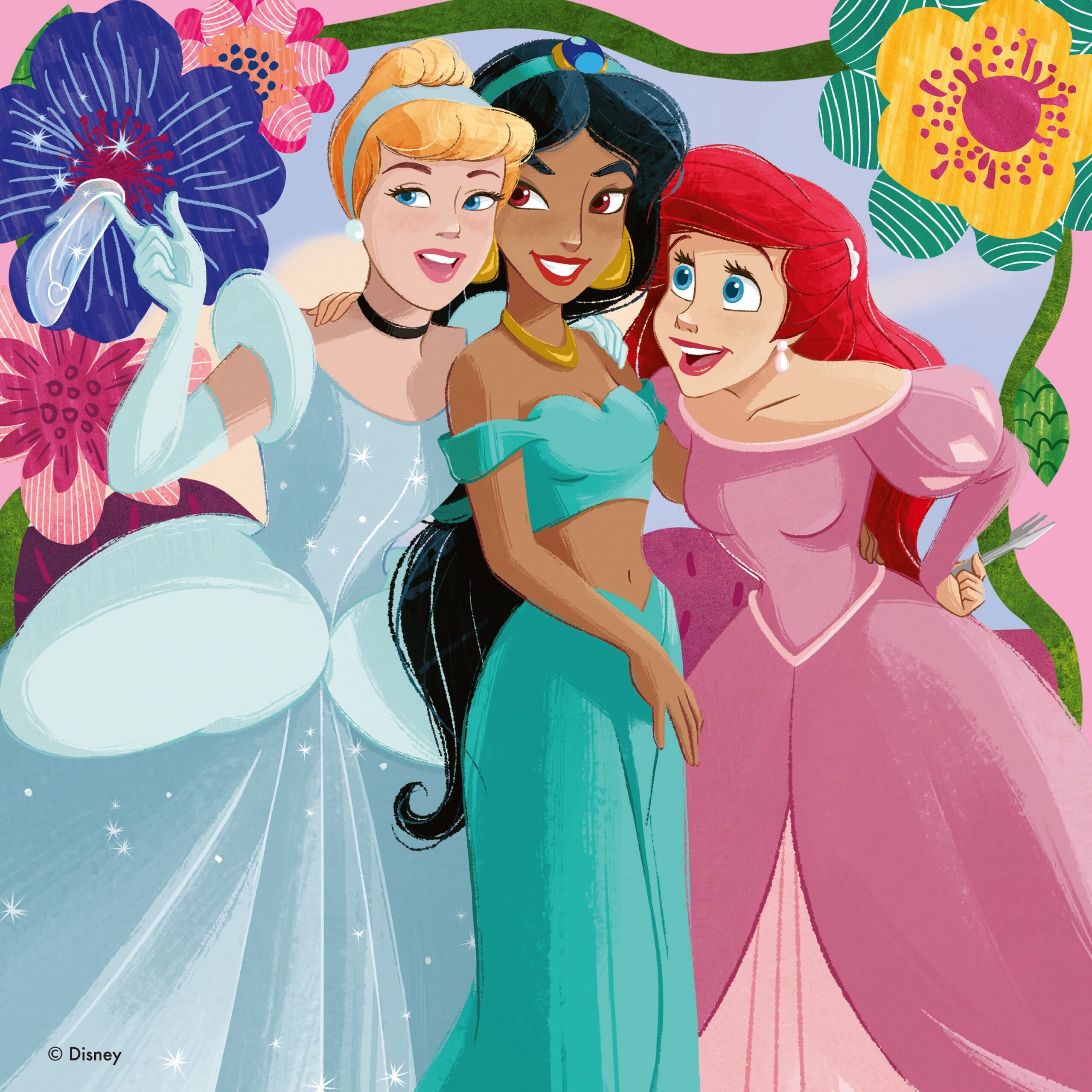 Disney Princess, 3x49pc