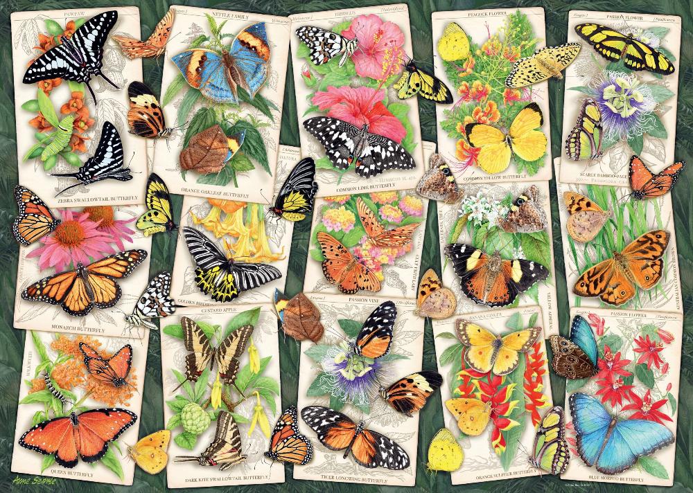 Tropical Butterflies, 1000pc