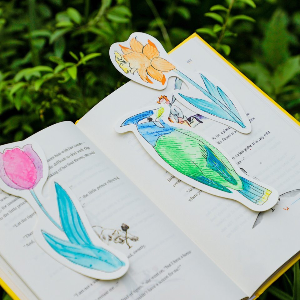 Natural Creation Watercolour painting Bird