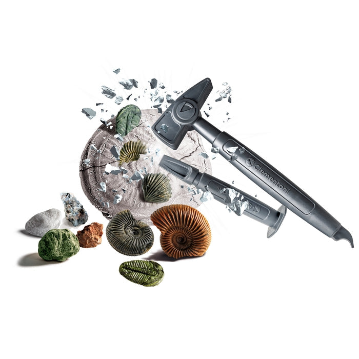 Mini Lab Fossil & Minerals